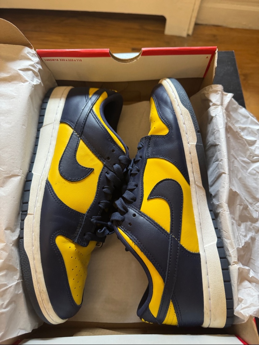 Nike dunk low Michigan